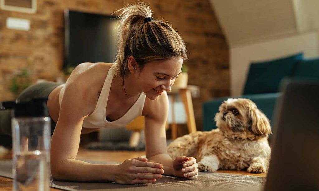 Aprovecha la cuarentena para entrenar con tu mascota