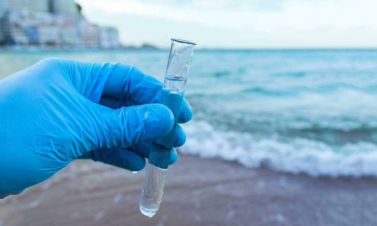 ¿Puede el agua de mar ayudar a tu sistema inmunológico?