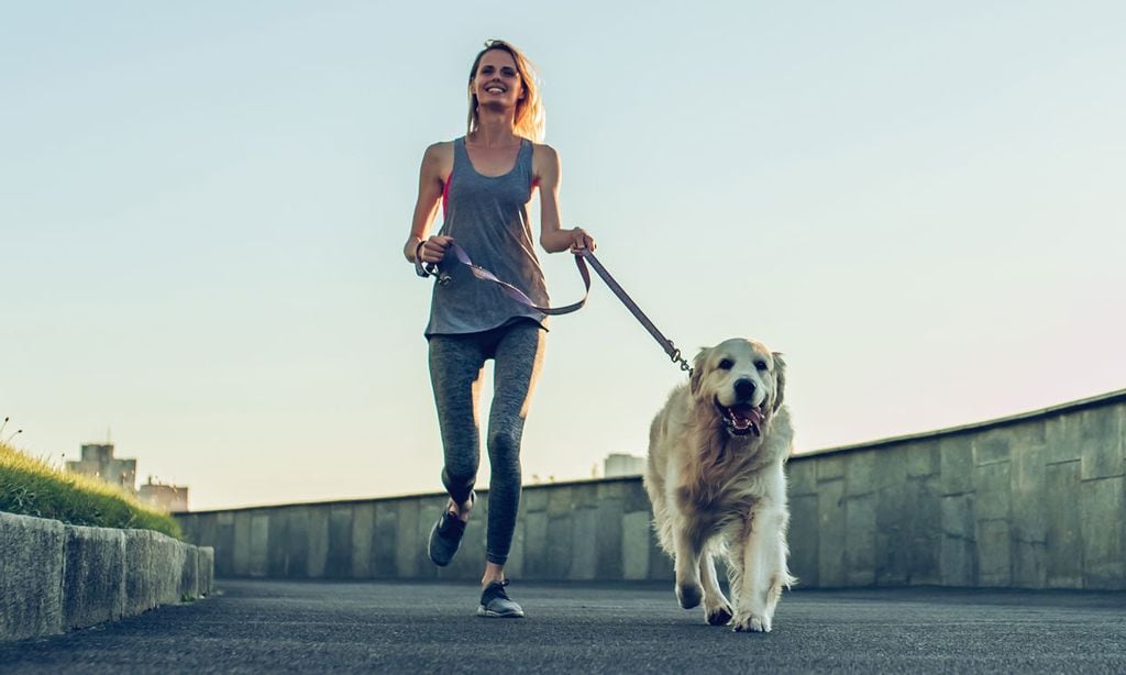 Razas de perro: Cuánto ejercicio puedo hacer con mi perro en el  desconfinamiento