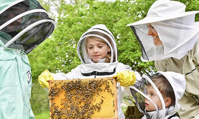 abejas-medio-ambiente