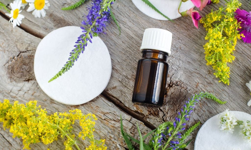 Apunta estos remedios caseros y aceites esenciales contra los mosquitos