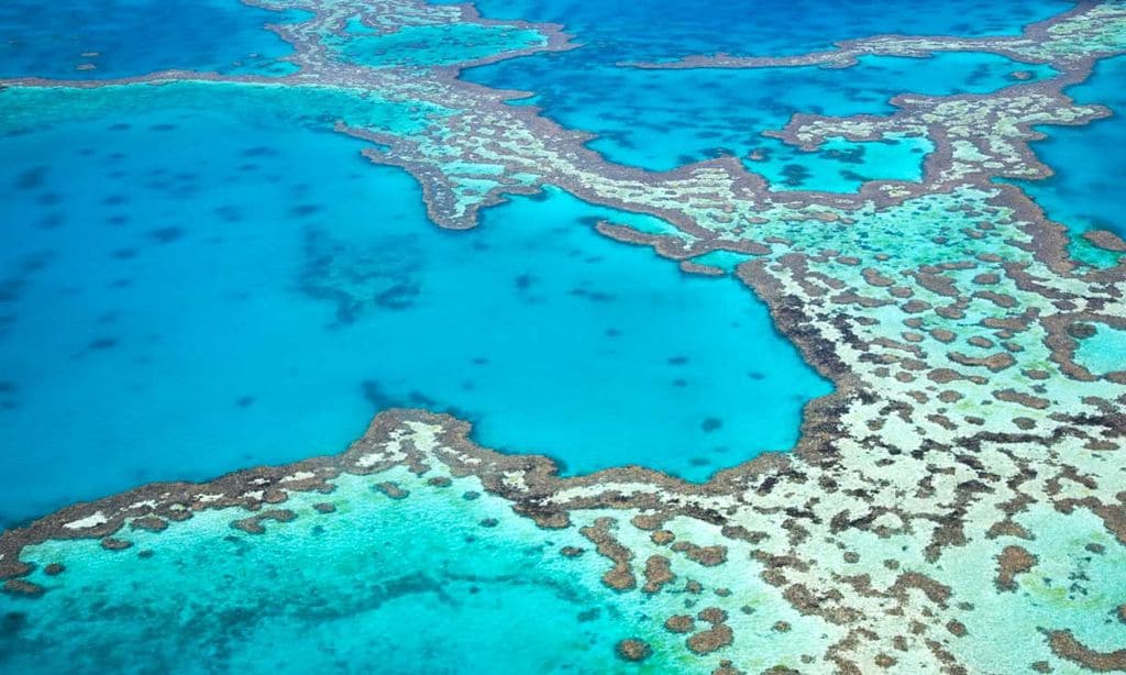 Espectaculares imágenes de miles de tortugas acudiendo a desovar a la Isla de Raine