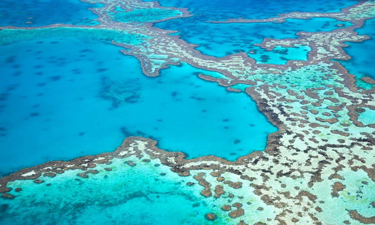 Imagen aérea de la gran barrera de coral en Australia