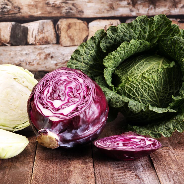 Kale, repollo, col... apunta los motivos para incluir las verduras crucíferas en tu dieta