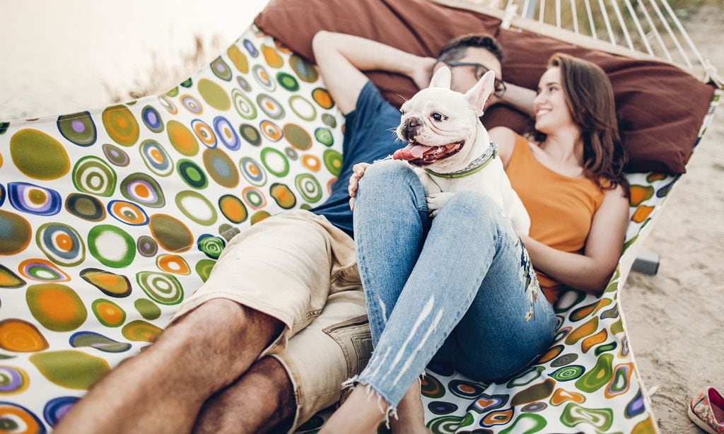 La guía más completa para viajar segura con tu mascota