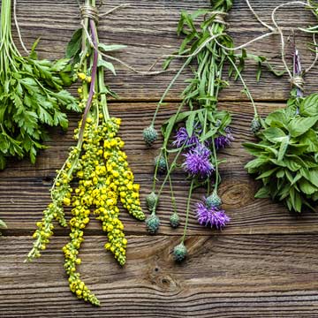 Remedios caseros: las plantas medicinales favoritas de las farmacéuticas -  Foto 1