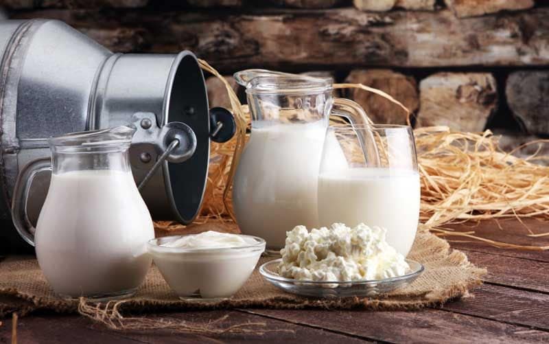 En qué se diferencian las leches de cabra, vaca y oveja Foto 1