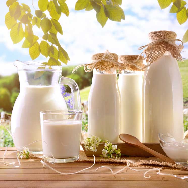 De vaca, de cabra o de oveja: ¿cuáles son las diferencias entre estos tipos de leche?