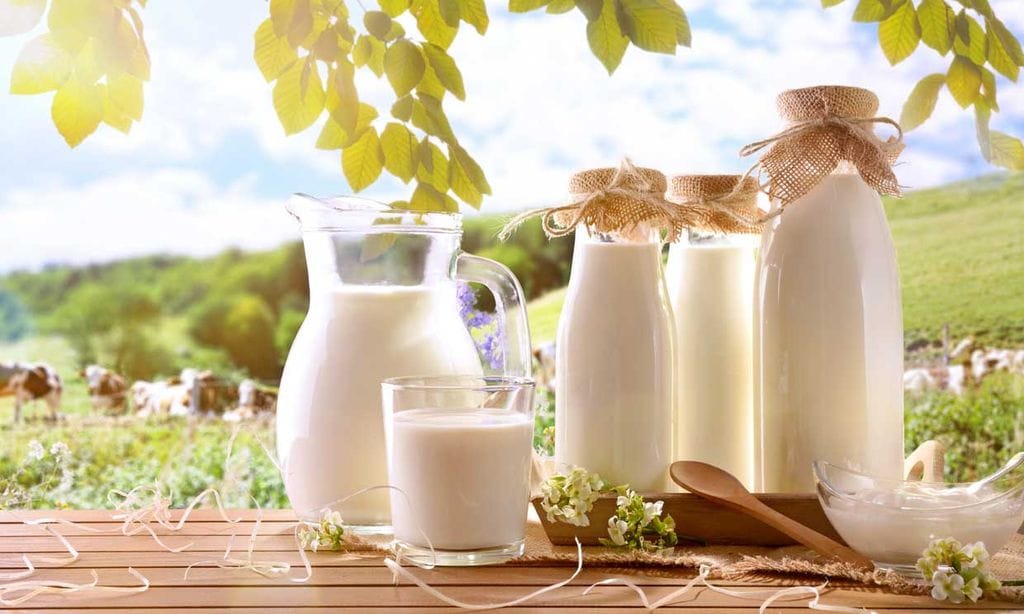En qué se diferencian las leches de cabra, vaca y oveja - Foto 1