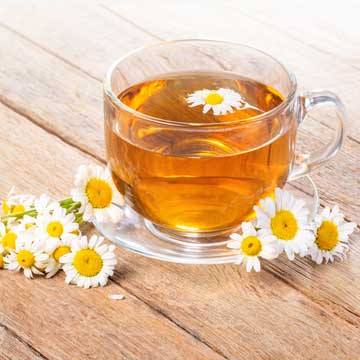 manzanilla medicinal medicinales plantas propiedades animarn razones