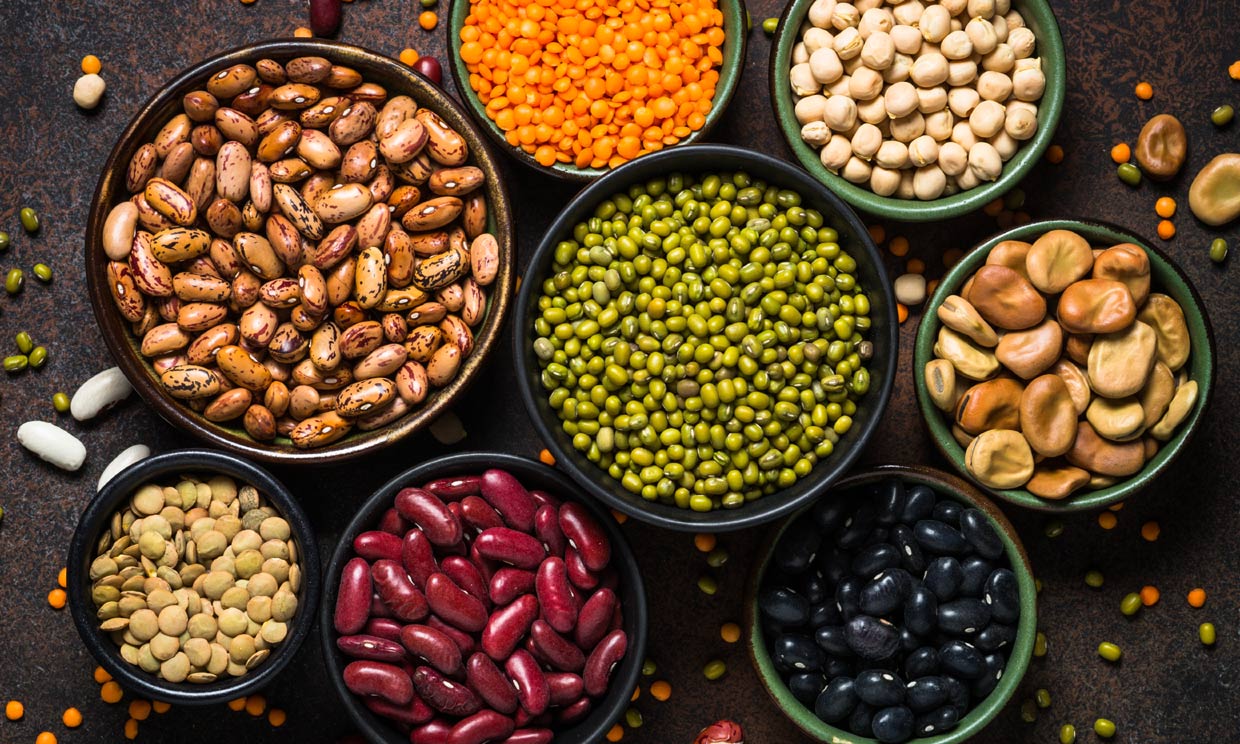 ¿Quieres saber cuáles son los alimentos vegetales con más proteínas?
