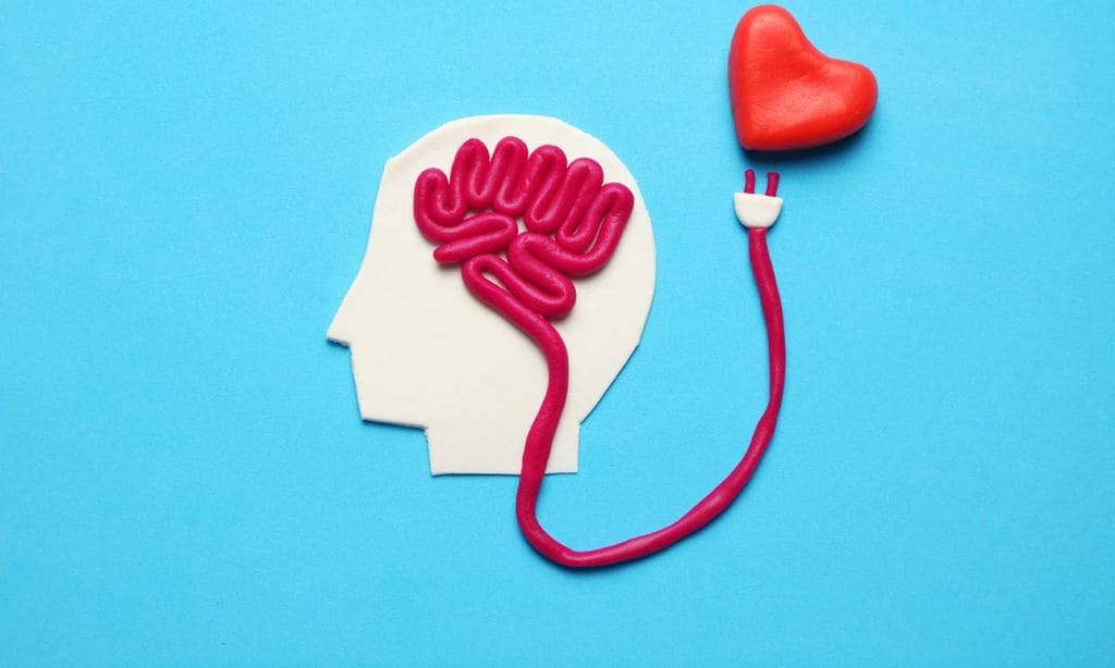 'Los pilares de la salud del cerebro son la buena alimentación, el ejercicio físico y el descanso'
