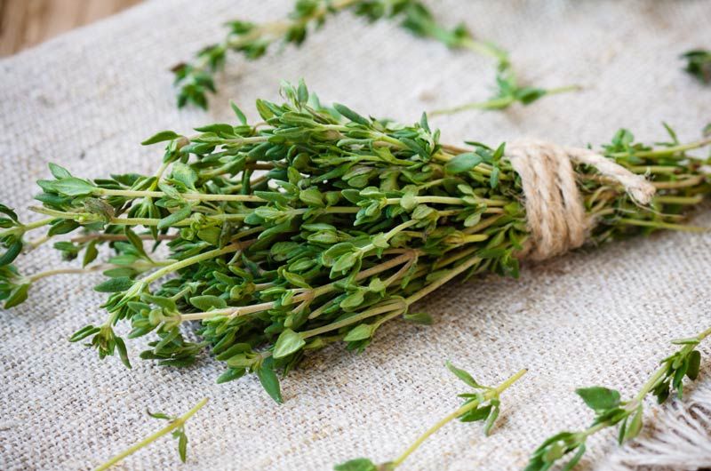 Remedios caseros y plantas medicinales para tratar el dolor de muelas - Foto 1