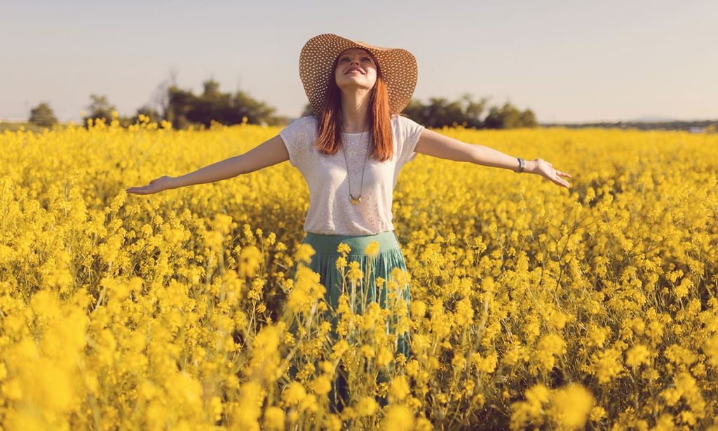 8 plantas medicinales beneficiosas para combatir la astenia primaveral