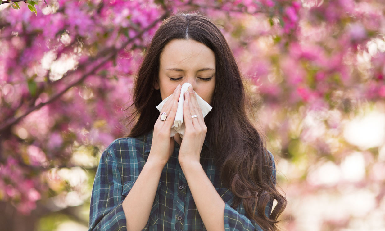 10 remedios caseros para combatir la alergia primaveral