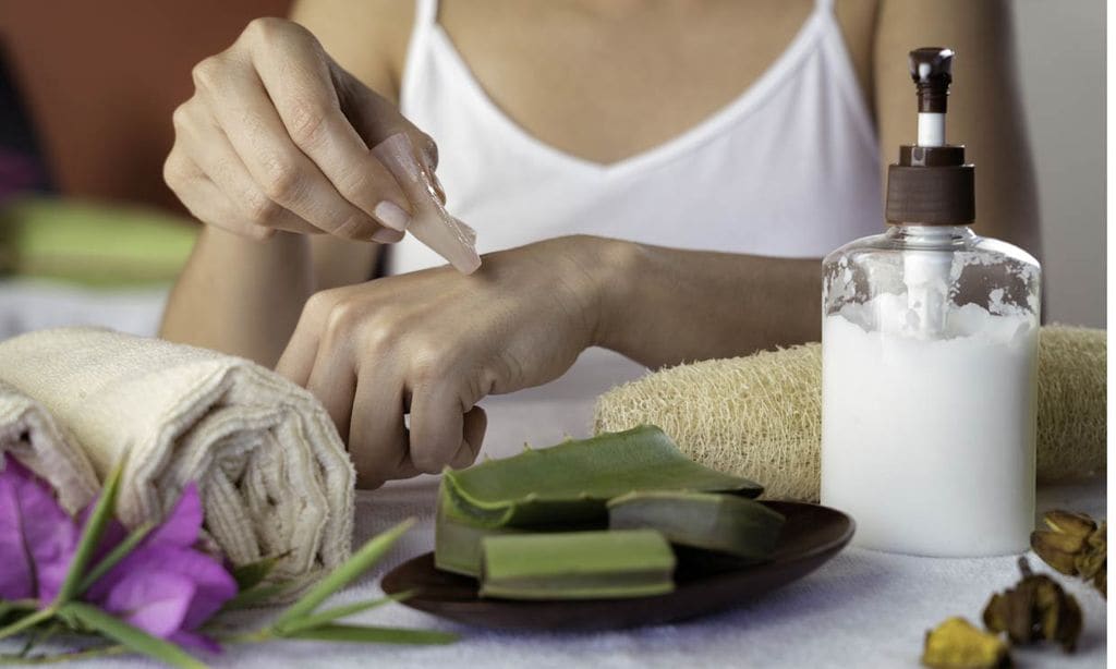 Las propiedades que harán del aloe vera tu planta medicinal preferida