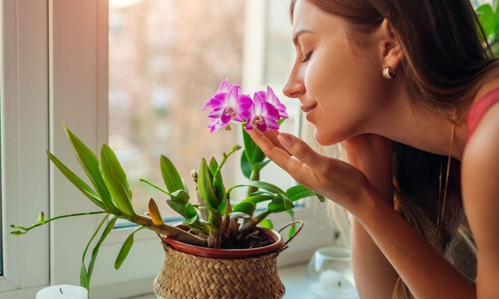 mujer oliendo flores