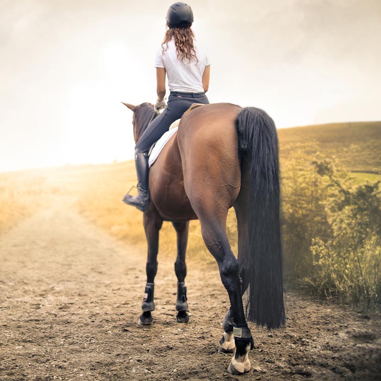 Montar a caballo: un ejercicio muy recomendable para tu cuerpo y para tu mente