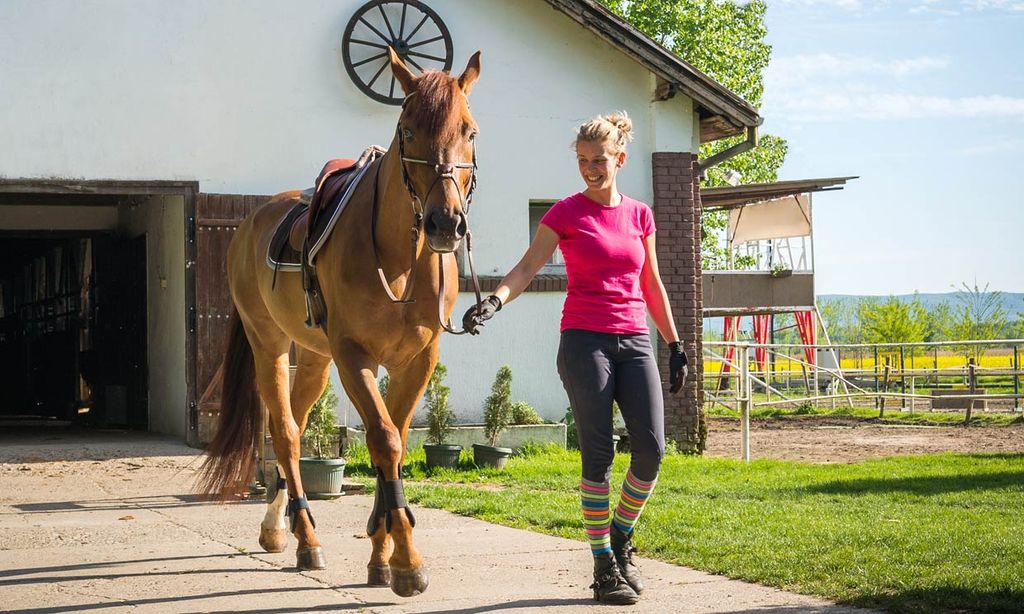 Si te gustan los caballos, te vas a enamorar de esta iniciativa
