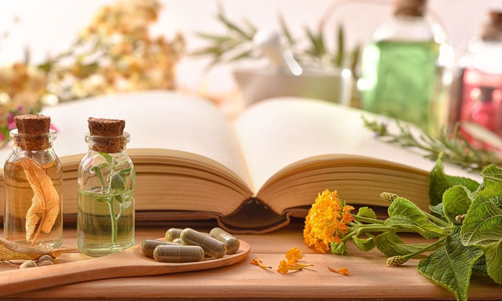 Estas plantas medicinales pueden ayudarte a aliviar algunos problemas de salud