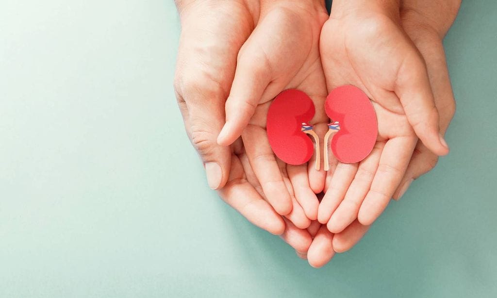 Consejos útiles para cuidar la salud de tus riñones