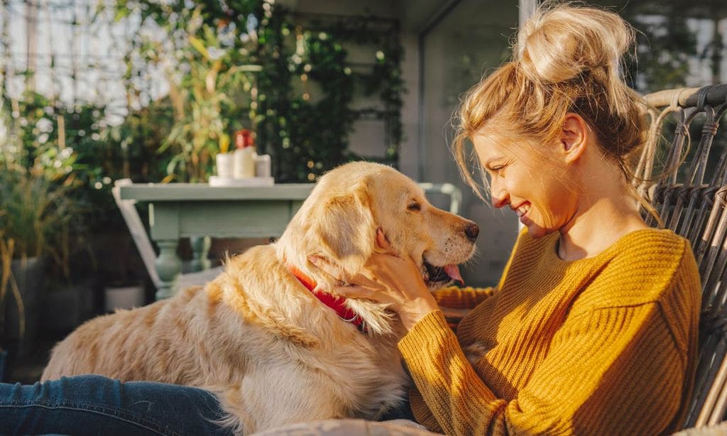 ¿Sientes amor por los animales o padeces el síndrome de Noé?