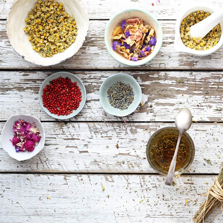 Te Descubrimos Cuales Son Las Mejores Plantas Para La Salud De La Mujer Foto 1 Te Descubrimos Cuales Son Las Mejores Plantas Para La Salud De La Mujer Foto 1