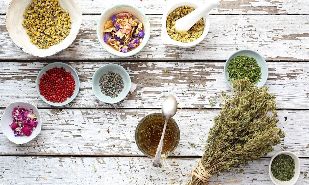 Te descubrimos cuáles son las mejores plantas para la salud de la mujer -  Foto 1