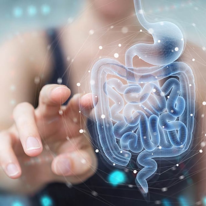 ¿Sabes en qué consiste un estudio de la microbiota intestinal y por qué es interesante hacérselo? 