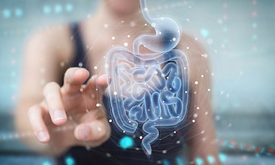 ¿Sabes en qué consiste un estudio de la microbiota intestinal y por qué es interesante hacérselo?