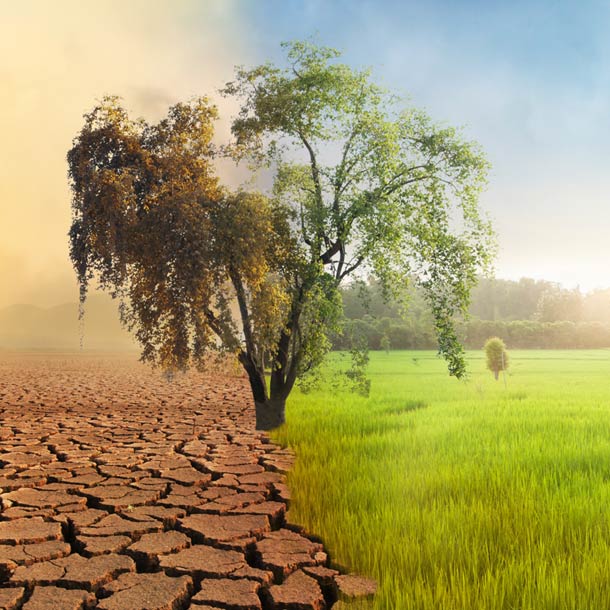 Test para averiguar tus conocimientos sobre el cambio climático