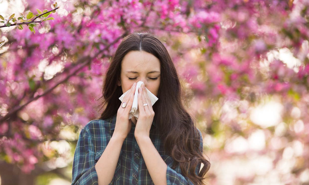 estornudos por alergia