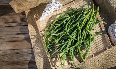 Salicornia: la verdura sostenible que crece en el desierto y en las costas