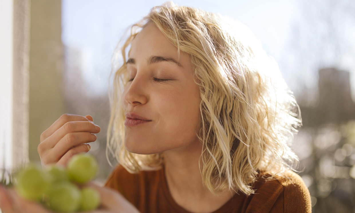 Harvard te cuenta cuáles son las mejores frutas que tienes que comer