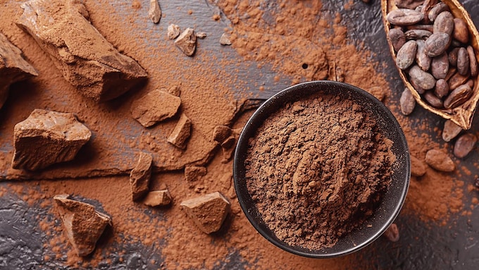 cacao en polvo