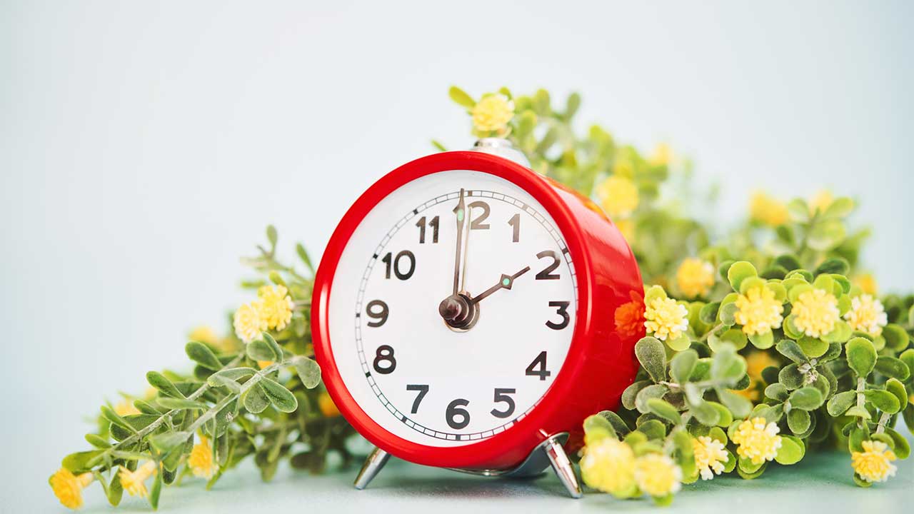 Reloj despertador de color rojo y esfera blanca junto a flores primaverales