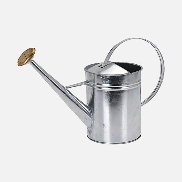 Regadera de metal