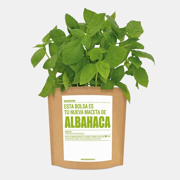 Albahaca