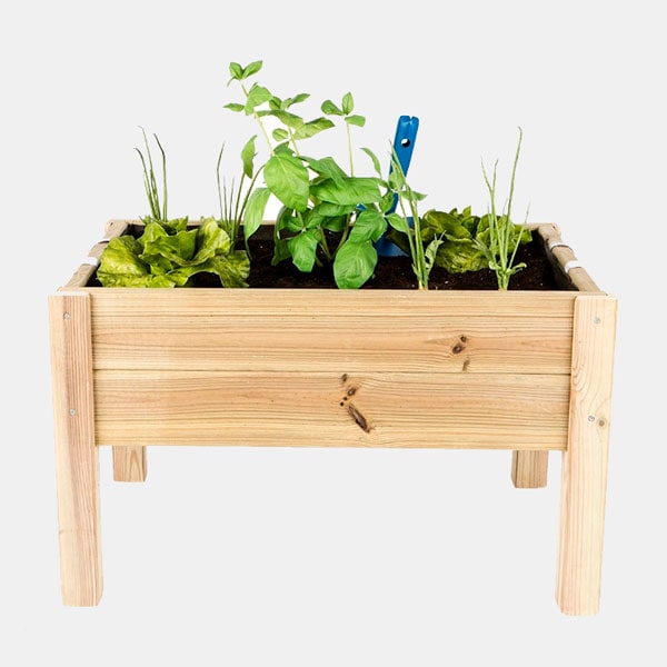 Kit de cultivo