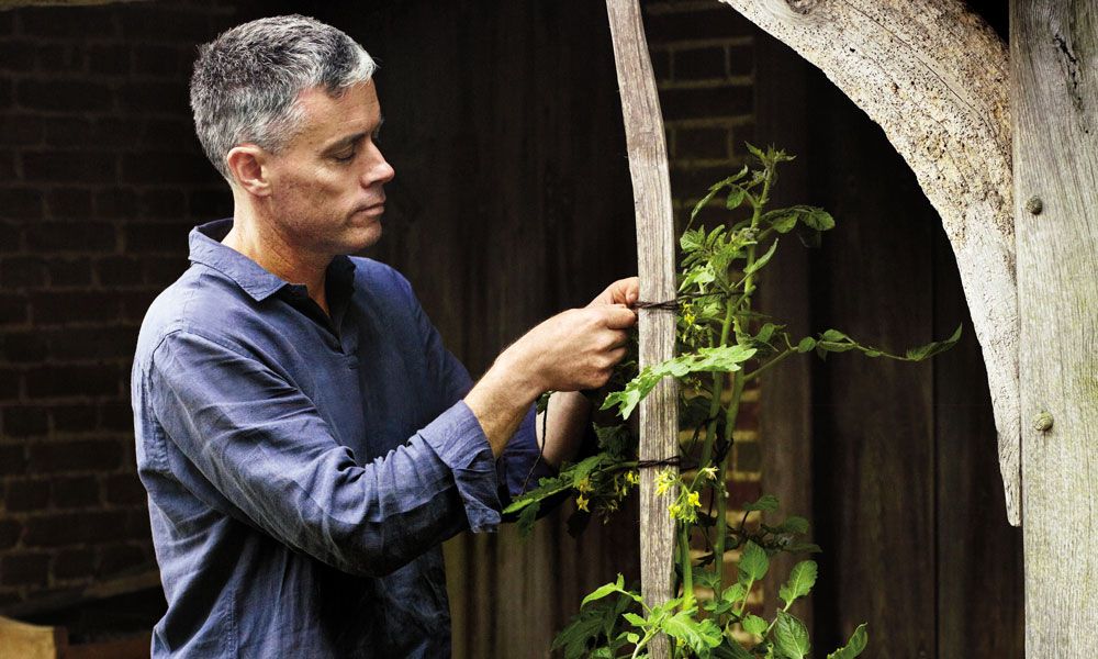 ¿Cultivar tu propia comida? Sigue los consejos de Aaron Bertelsen para crear un huerto ecológico en casa