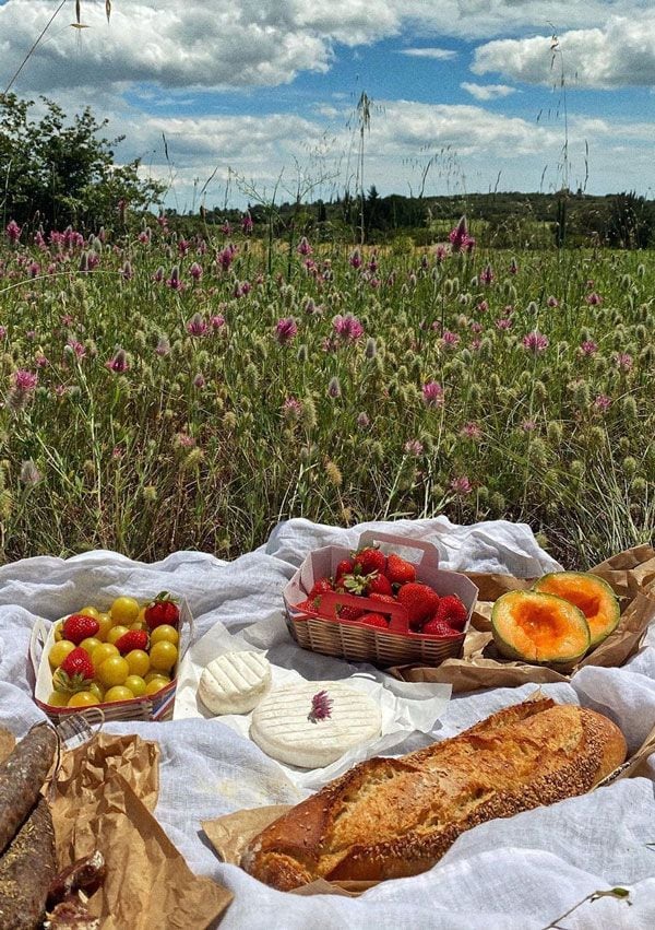 Picnic en la naturaleza