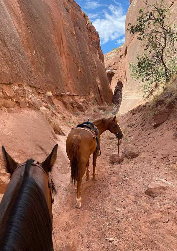 Ruta a caballo Rosie Huntington-Whiteley