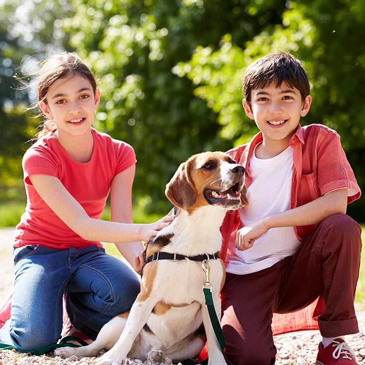 Un beagle puede ser el mejor amigo de tu hijo