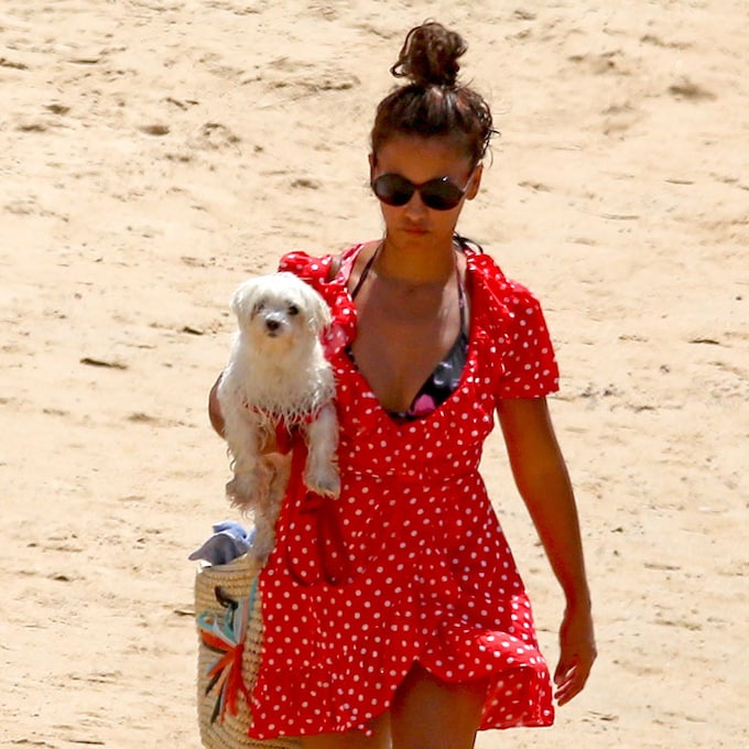 Playas 'dog friendly' para disfrutar del verano con tu mascota