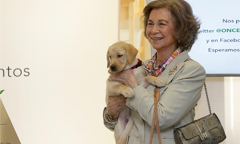 Reina emérita Doña Sofía en un acto de presentación de perros guía de la Once