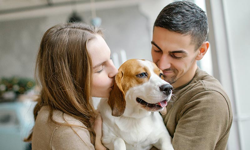 Quieres tener un perro pero estos miedos te lo impiden