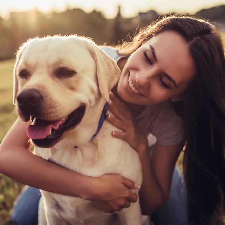 El contacto físico con tu perro es muy importante