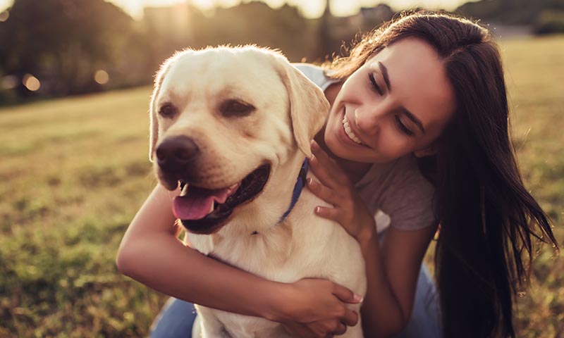 El contacto físico con tu perro es muy importante