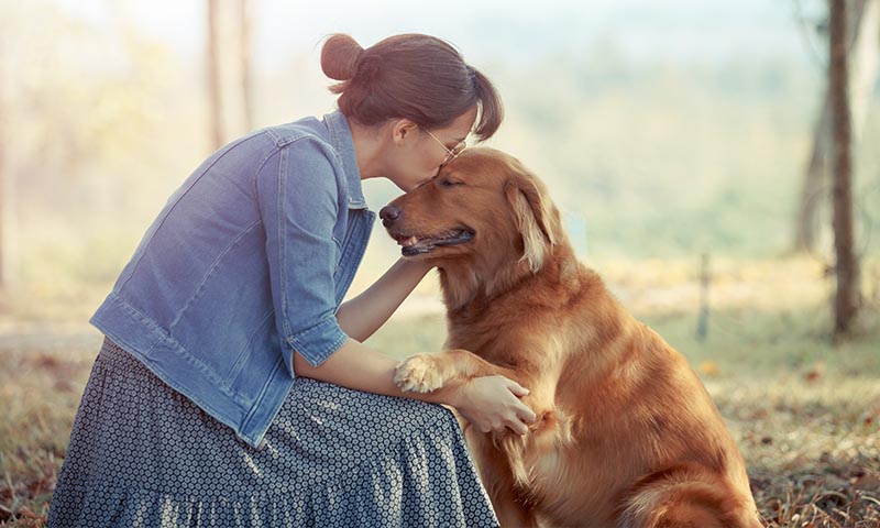 Las mejores razas de perro si sufres depresión 