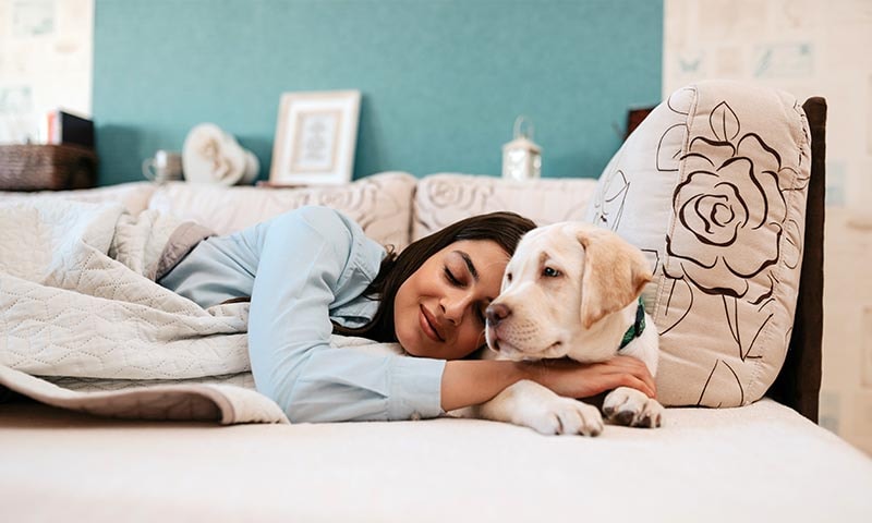 Pros y contras de dormir con perros